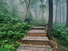 -白草畔自然风景区