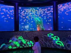 -沈阳海洋探索中心