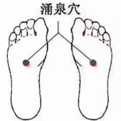 -香薇妮丝·定制减肥·身材管理