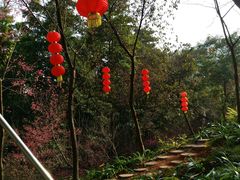 -广州市帽峰山景区