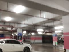 -上海植物园-4号门售票处