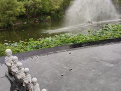 -梅林春晓花园餐厅