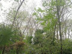 -春兰国宾馆(凤城河风景区老街店)