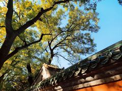 -北京国子监胡同