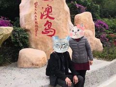 -东澳岛