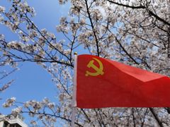 -高东镇樱花园