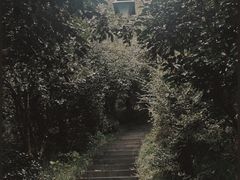 -杭州半山国家森林公园