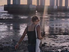 -宝安西湾红树林湿地公园