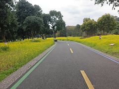 -张坝桂圆林公园