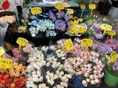 -循礼门鲜花花市(武汉循礼门店)