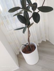 -HEYAN荷妍专业脱毛连锁机构