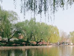 -团结湖公园