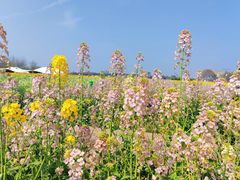 -中国天府农业博览园