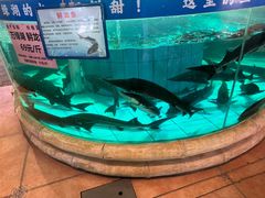 -年辉渔村·非遗传承餐厅(新丰江店)
