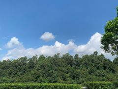 -火炉山森林公园
