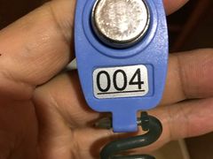 -翡翠湖迎宾馆·游泳馆