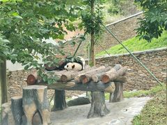 -卧龙自然保护区
