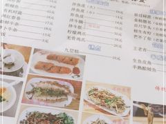 -针姨