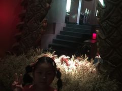-花马天堂云南餐厅 Lost Heaven(高邮路店)