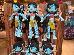 -奥兰多迪士尼动物王国乐园