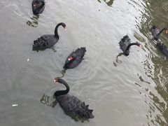 -无锡动物园·太湖欢乐园