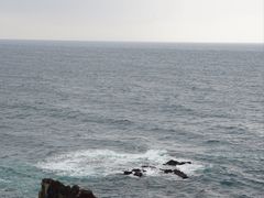 -涉地可支