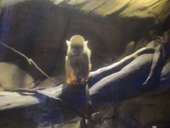 -波塞冬旅游度假区