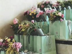 -素可SPA