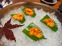 -月龍吟(朝龙汇店)