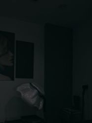 -心联形象设计·流星染