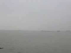 -合肥滨湖国家森林公园