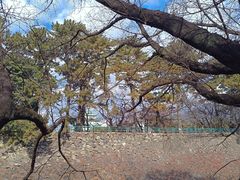 -名古屋城
