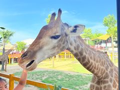 -西霞口神雕山野生动物世界