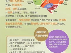 -多特儿童专注力·感统训练·注意力提升培训(锦峰训练中心)