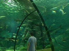 -福州罗源湾海洋世界旅游区