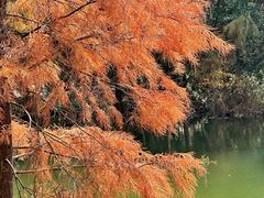-广州市白云山风景名胜区