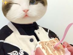 -CarolCake卡萝家(锦华万达店)