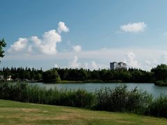 -上海长兴岛郊野公园