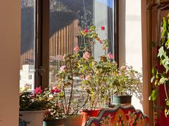 -四姑娘山阿巴郎·藏式花园餐厅