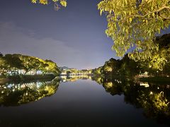 -谢怀亮芝麻茶