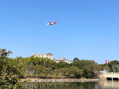 -宝安西湾红树林湿地公园