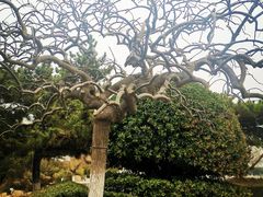 -莫内艺术岛海景咖啡