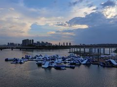 -五缘湾湿地公园
