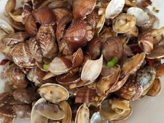 辣炒蛤蜊-1910老鲁味海鲜·戳子肉·青岛菜(金沙滩店)