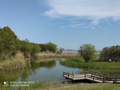 -吴淞炮台湾湿地森林公园烧烤区