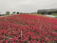 -迪茵湖田家舍生态农场