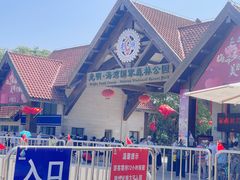 -上海海湾国家森林公园