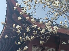 -堤角公园