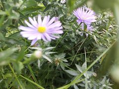 -金逸影城(中关村店)