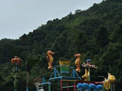 -长沙黑麋峰国家森林公园